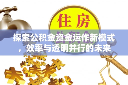 澧县探索公积金资金运作新模式，效率与透明并行的未来