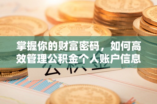 澧县掌握你的财富密码，如何高效管理公积金个人账户信息