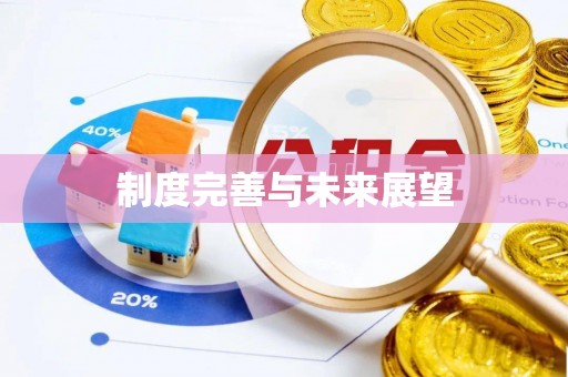 澧县制度完善与未来展望