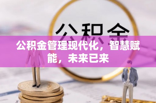 澧县公积金管理现代化，智慧赋能，未来已来