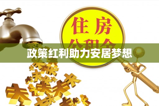 澧县政策红利助力安居梦想