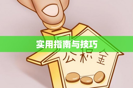 澧县实用指南与技巧