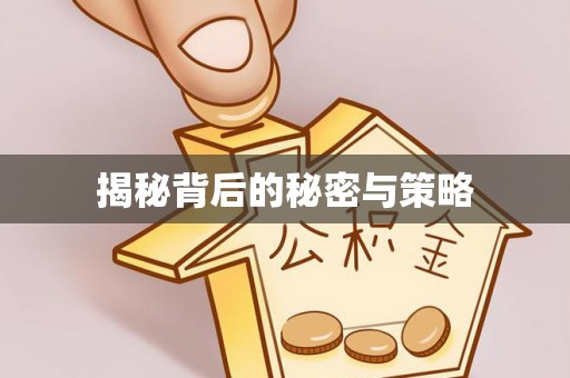 澧县揭秘背后的秘密与策略