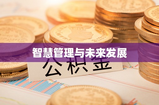 澧县智慧管理与未来发展