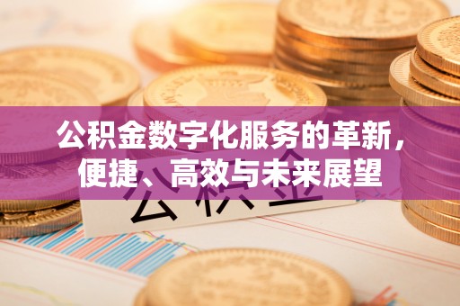 澧县公积金数字化服务的革新，便捷、高效与未来展望