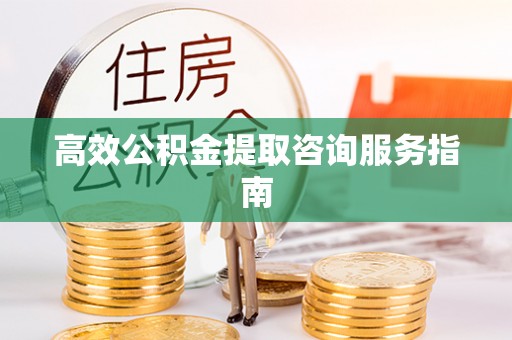澧县高效公积金提取咨询服务指南