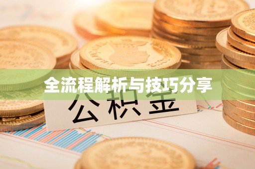 澧县全流程解析与技巧分享