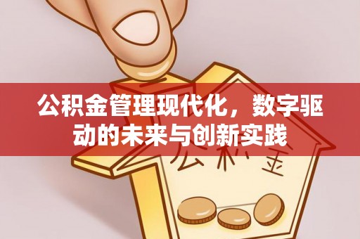 澧县公积金管理现代化，数字驱动的未来与创新实践