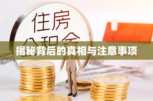 澧县揭秘背后的真相与注意事项