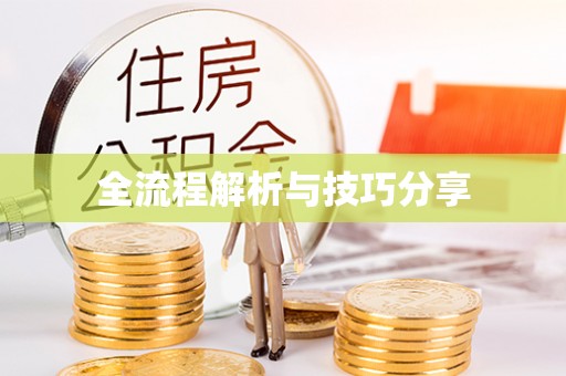 澧县全流程解析与技巧分享